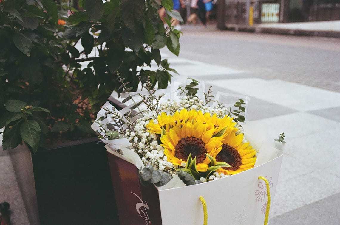· Still Life Photography · Flowers