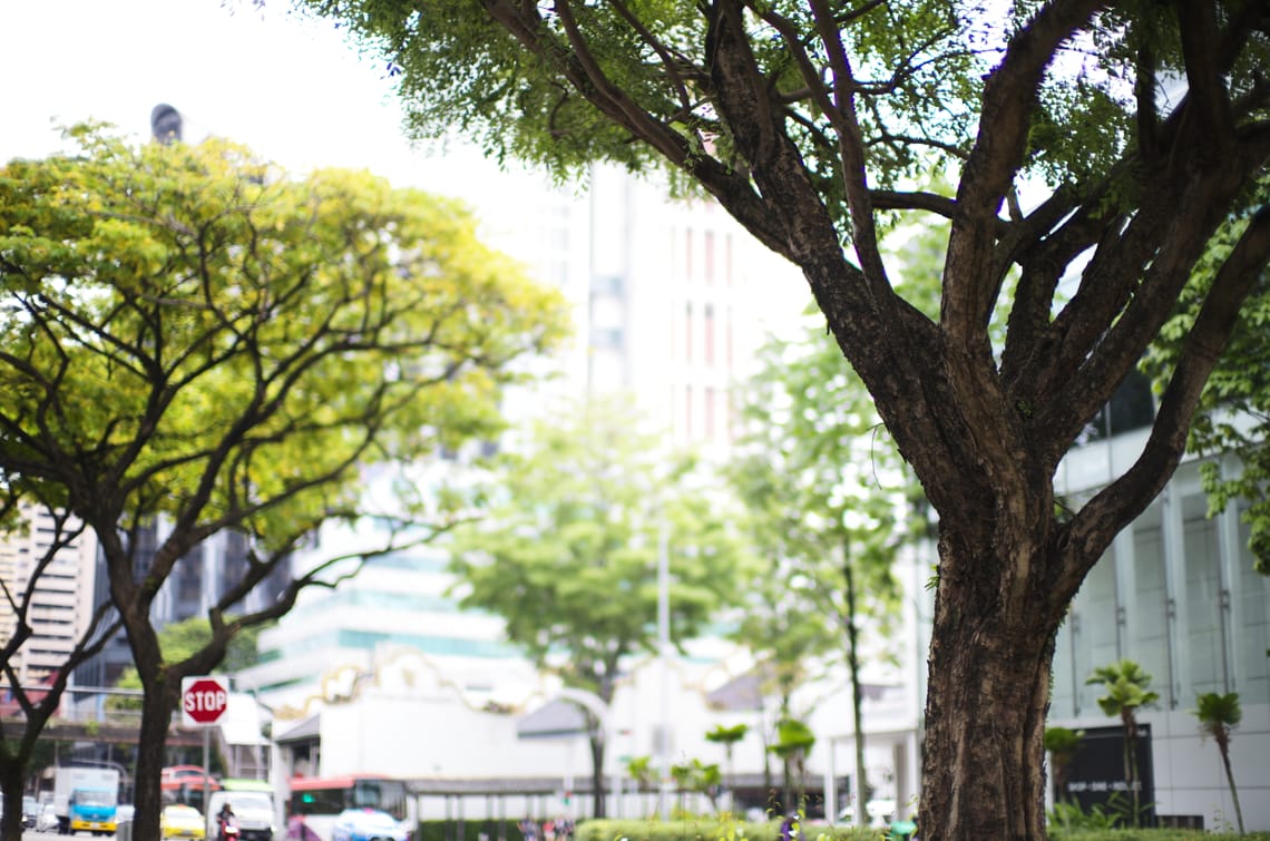 · Street Photography ·