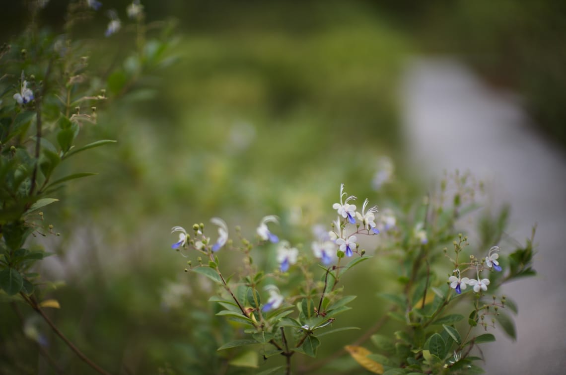 · Nature Photography ·