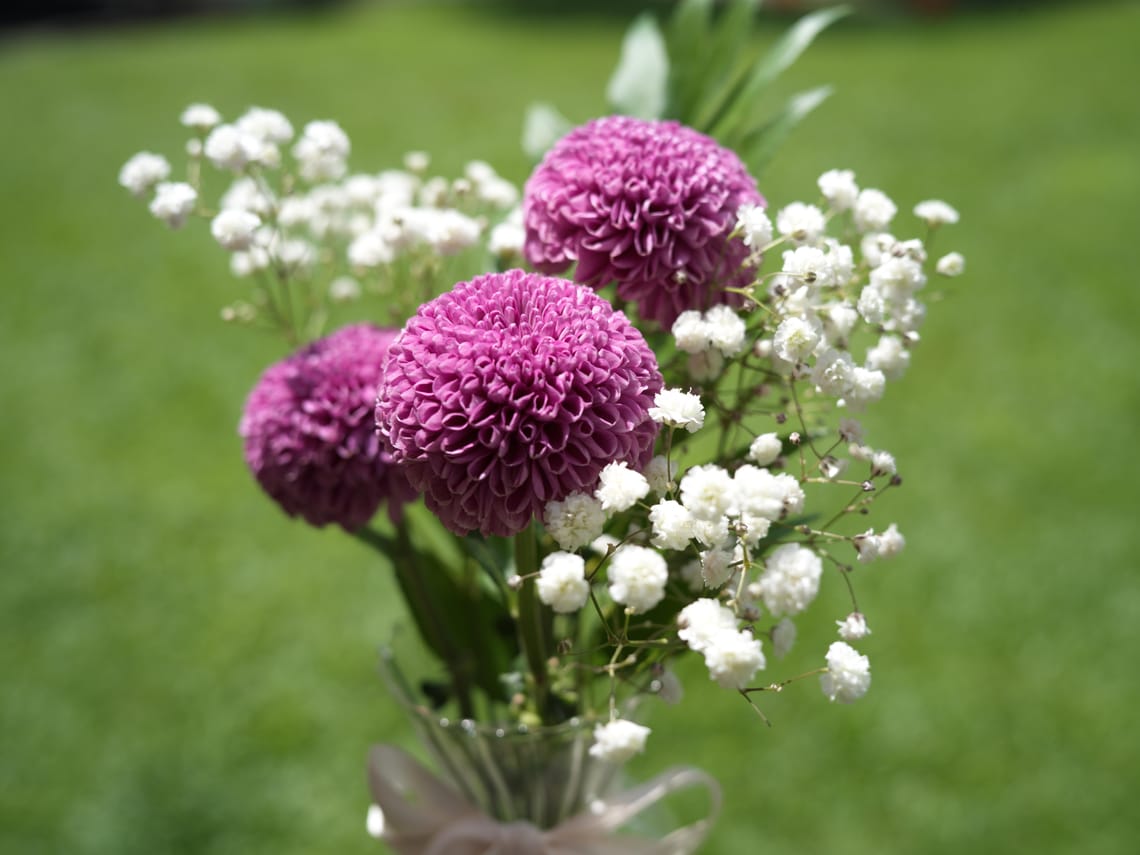 · Still Life Photography ·