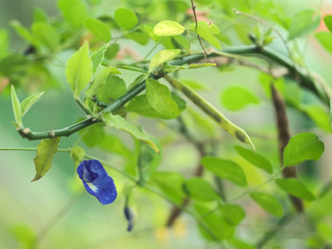 · Nature Photography ·