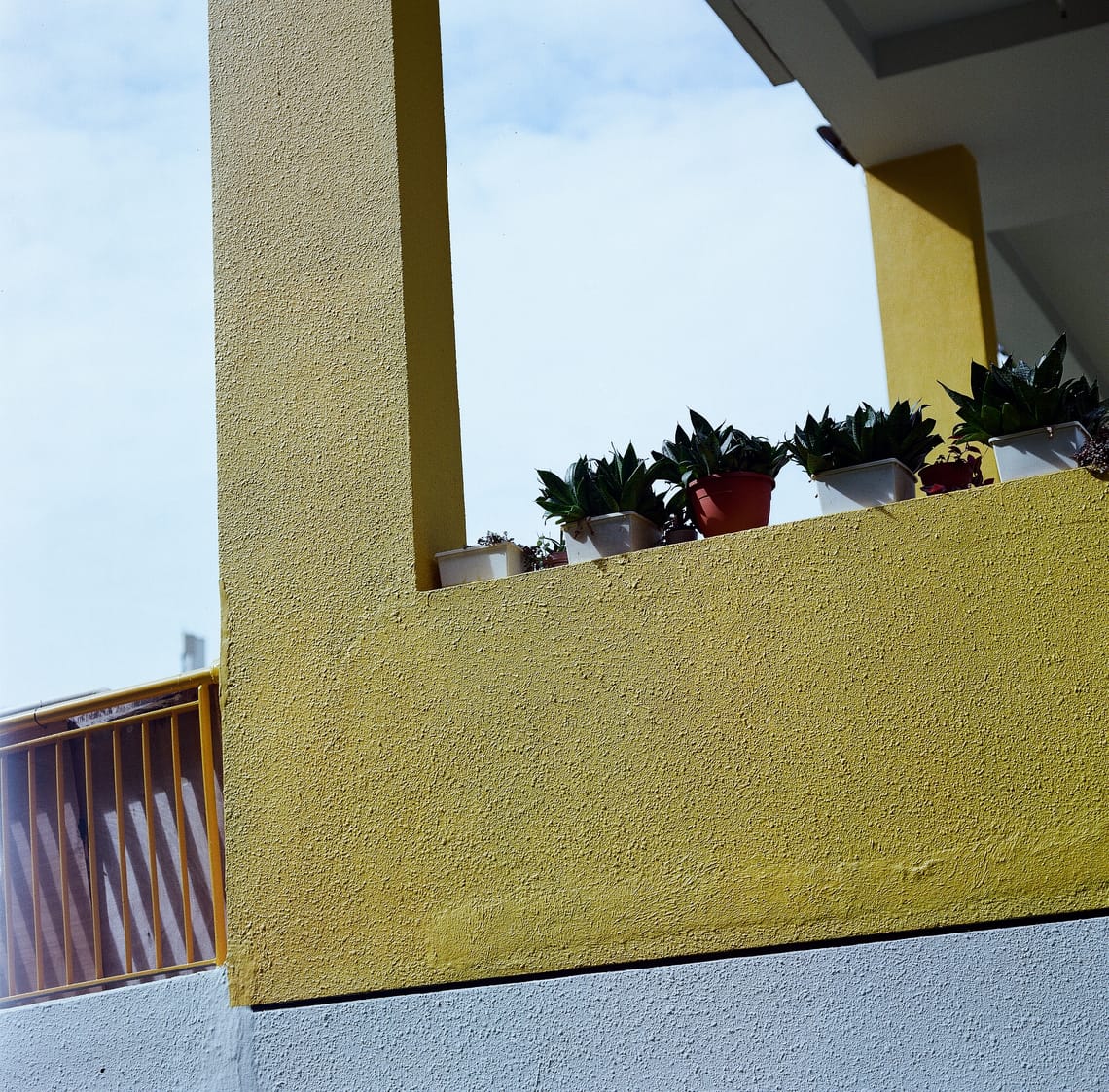 · Street Photography · Flowers  & Pots·