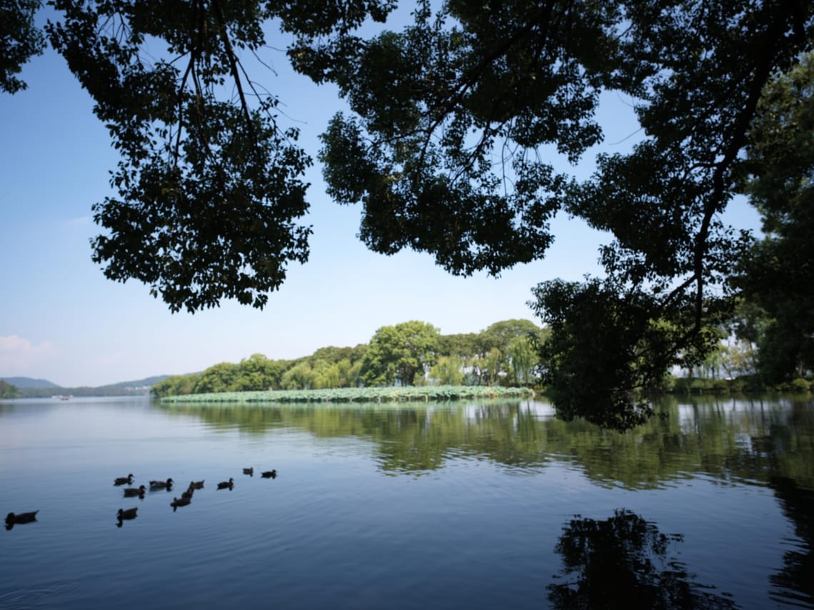 · Serenity · Nature ·