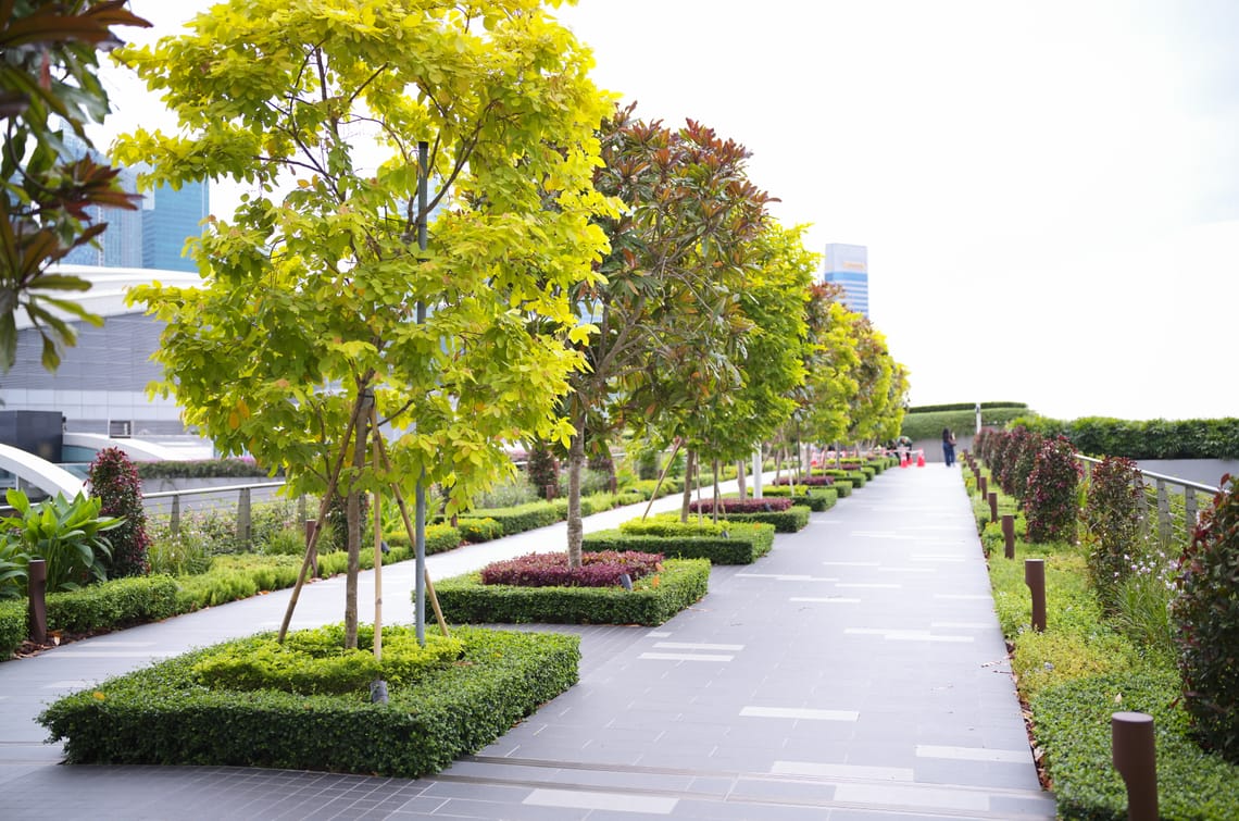 · Street Photography · Shrubs ·