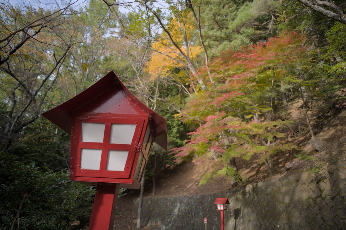 ·Letterboxes · Street Photography ·Colour Hues  ·
