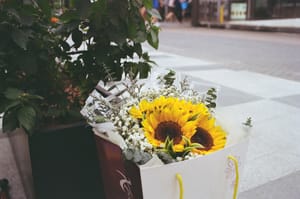· Still Life Photography · Flowers