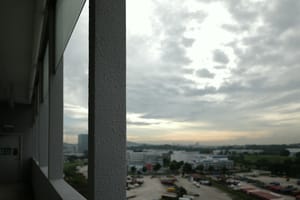 Landscape
