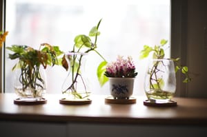 · Still Life Photography ·
