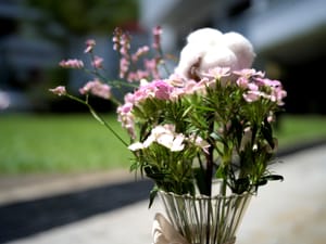 · Still Life Photography ·