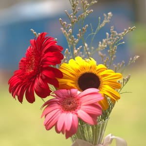 · Still Life Photography ·