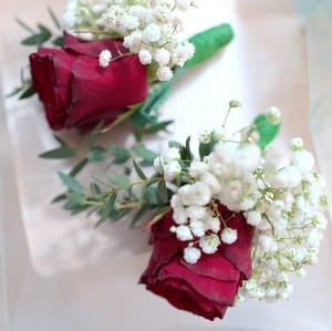 · Still Life Photography ·