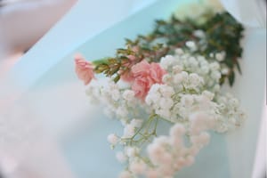 · Still Life Photography ·