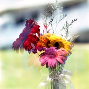 · Still Life Photography · Flowers·