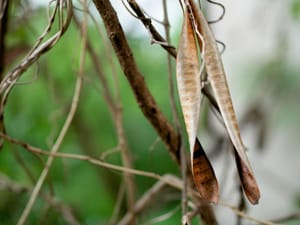 · Nature Photography ·