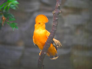 · Nature Photography ·Bird ·