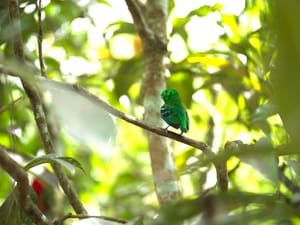 · Nature Photography ·Bird ·