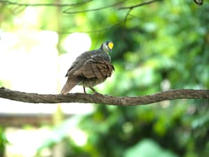 · Nature Photography ·Bird ·