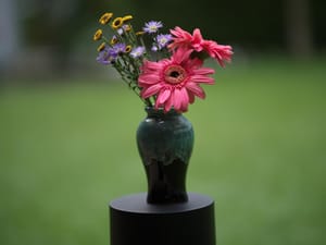 · Nature Photography ·Vase ·
