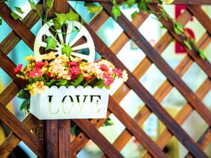 · Still Life Photography ·Flower Box ·