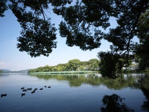 · Serenity · Nature ·