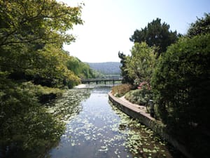 · Serenity · Nature ·