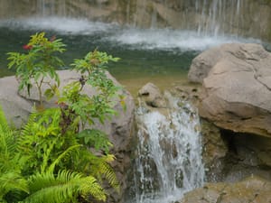 · Waterfall · Serenity · Nature ·