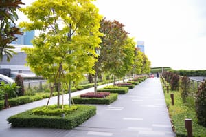 · Street Photography · Shrubs ·