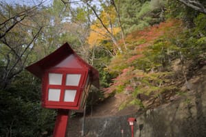 ·Letterboxes · Street Photography ·Colour Hues  ·